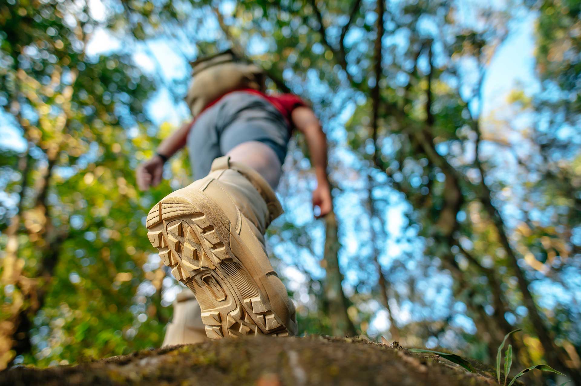 Zapatillas, medias botas, botas. Cómo elegir tu calzado de trekking y  senderismo 